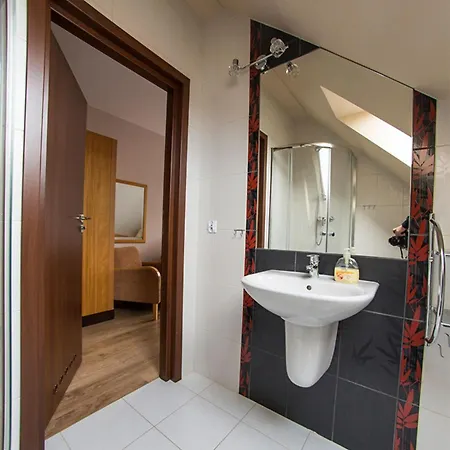 Wisniowy Sad 库多瓦-兹德鲁伊