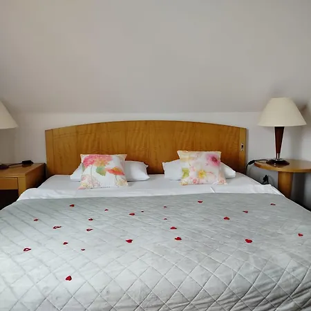 Wisniowy Sad Kudowa-Zdrój