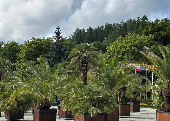 Wisniowy Sad Apartment Kudowa Zdroj