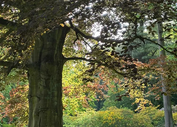 아파트 Wisniowy Sad *