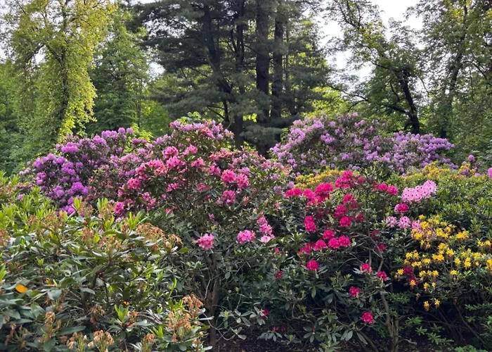 Wisniowy Sad * Kudowa-Zdrój