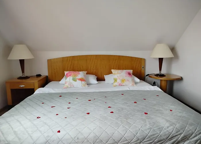 Wisniowy Sad Kudowa-Zdrój